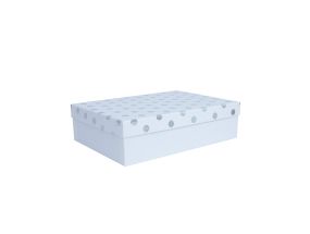 Box ELSA 33x23,5x9cm, with a lid kuld/hõbe, white