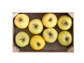 Õun Golden 5kg