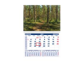 Wall calendar UNO, open size 297x425mm (PICTURE no. 8) 00320/40210