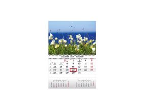 Wall calendar MONO Estonian-English no.1 2911050001