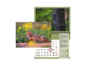 Wall calendar "Remo Savisaar" A3 spiral binding 00364