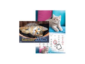 Wall calendar Cat calendar 2911600000