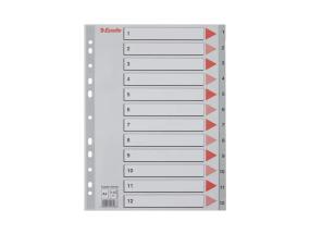 Registri vahelehed ESSELTE A4 1-12 hall plast