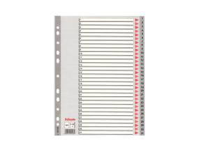 Registri vahelehed Esselte A4 1-31 hall plast