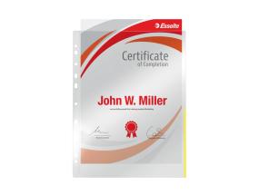 Signaaltasku köidetav A4 ESSELTE 105mic kollane 100 tk