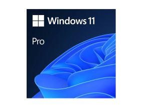 Microsoft Windows 11 Pro 64bit DVD ENG