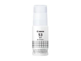 Canon GL-53, hall - Tindipudel