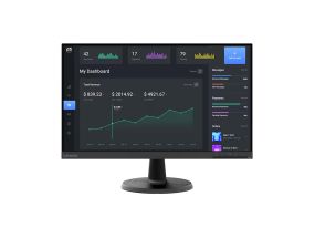 Lenovo D24-40, 24'', FHD, LED VA, 75 Hz, black - Monitor