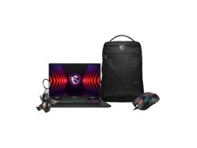 MSI Sword 17 HX B14V 20th Anniversary Bundle, 17'', WQHD+, 240 Hz, i7, 32 GB, 2 TB, RTX 4070, cosmos gray - Notebook bundle