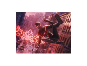PS4 game Marvel´s Spider-Man: Miles Morales