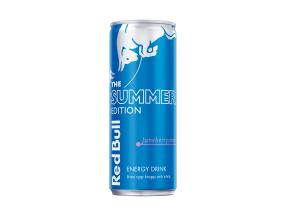 RED BULL Energiajook Summer Edition Juneberry 250ml
