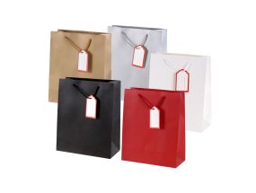 Gift bag with handles 32x26x12cm (choice of colors) TORO