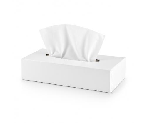 Salvrätikud kosmeetilised karbis 2-kihilised 100tk