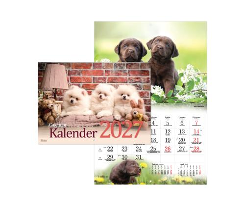 Seinakalender Koerakalender 2911601000