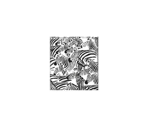 Kalender Time-Master MINI Timex Zebra 2914382556