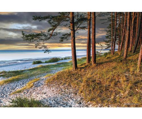 Seinakalender TRIO MEMO , avatud mõõt 297x630mm (PILT nr. 13) 00372/40325