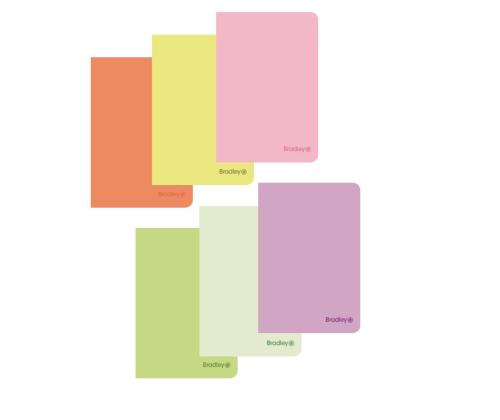 kaustik klamberköites A4 BRADLEY ruuduline plastkaaned 40 lehte