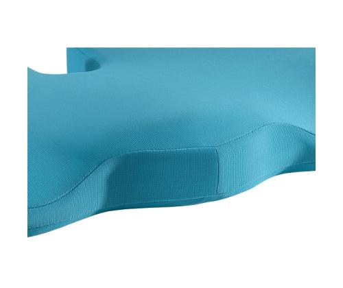 Istmepadi ergonoomiline LEITZ Cosy sinine