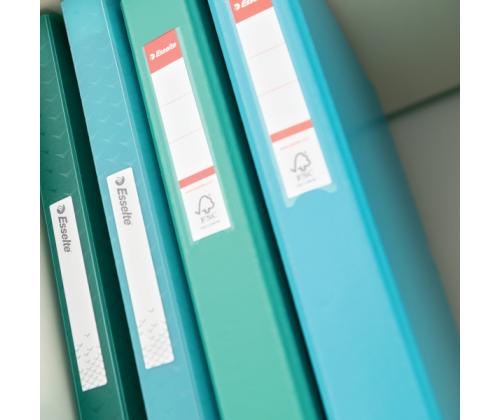 Rõngaskaaned A4 ESSELTE Colour´Ice 2R/25mm selg 42mm roheline