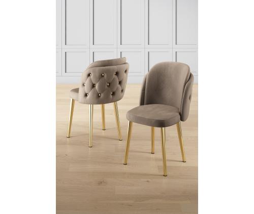 Axle - Cappuccino, Gold