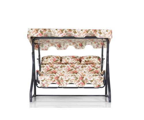 Salvia 5 - Multicolor