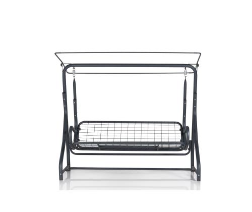 Morus Saat - Multicolor