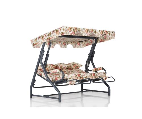 Salvia 5 - Multicolor