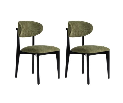 Mööblikomplekt toolid Lionte - Green, Black