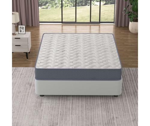 Spinal Assistance 150x200