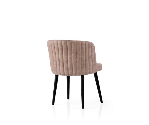 Mööblikomplekt toolid Zen - 4201 V2