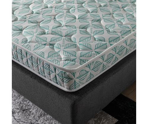 Dr.Therapy 100 x 200