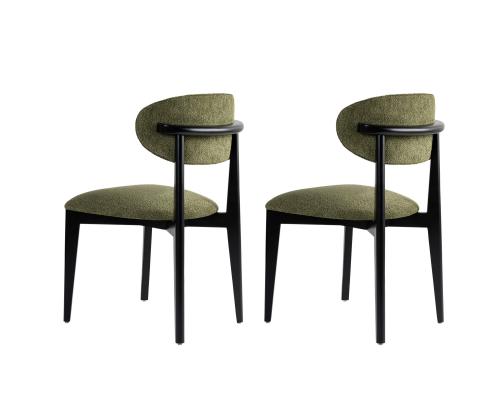 Mööblikomplekt toolid Lionte - Green, Black