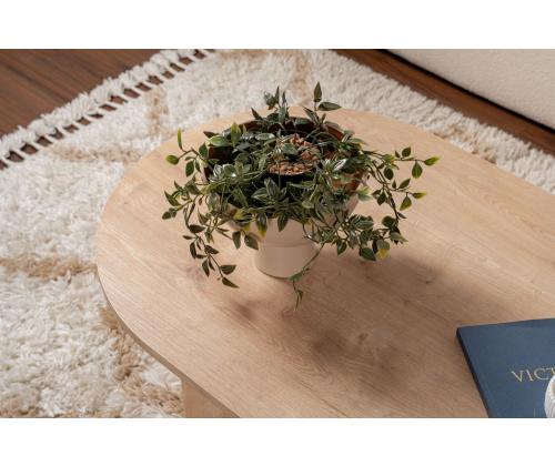 Kohvilaud Sable - Sapphire Oak