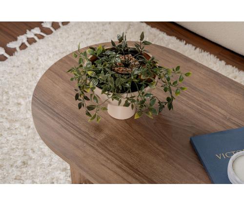 Kohvilaud Sable - Venezia Walnut