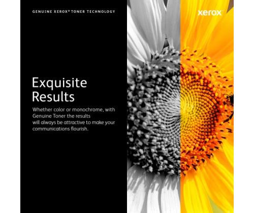 Xerox Toner DMO 7120 Yellow (006R01462)