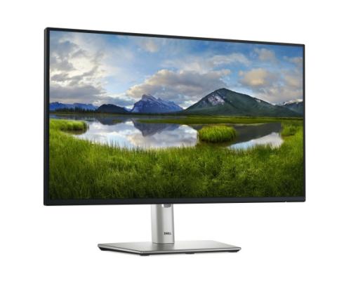 Dell P Series P2425H Monitor 24'' IPS FHD 1920x1080, 8 ms, 250 cd/m2, 100 Hz, Silver/Black (SPEC)