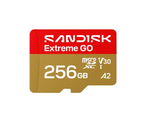 SanDisk Extreme GO microSDXC Memory Card 256GB UHS-I