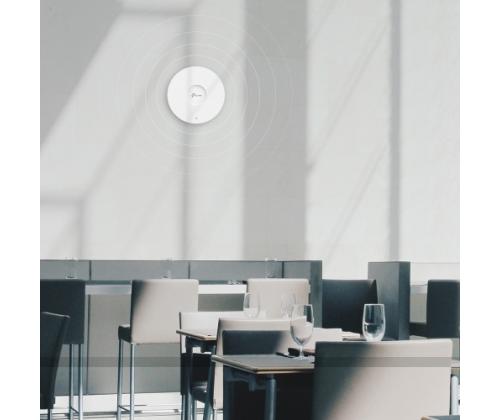 TP-Link Omada AX3000 Ceiling Mount WiFi 6 Access Point