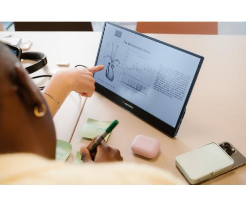 Verbatim 49590 Portable Monitor LIGHT 14'' IPS FHD 1920x1080 6ms 250cd/m2 60Hz, Black