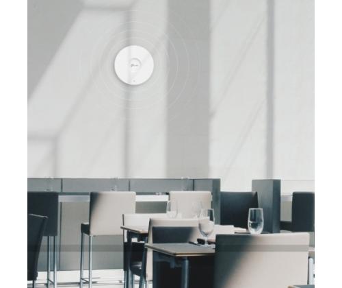 TP-Link Omada AX3000 Ceiling Mount WiFi 6 Access Point