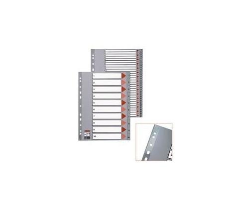 Divider Esselte PP, A4, Jan.-Dec. months, plastic