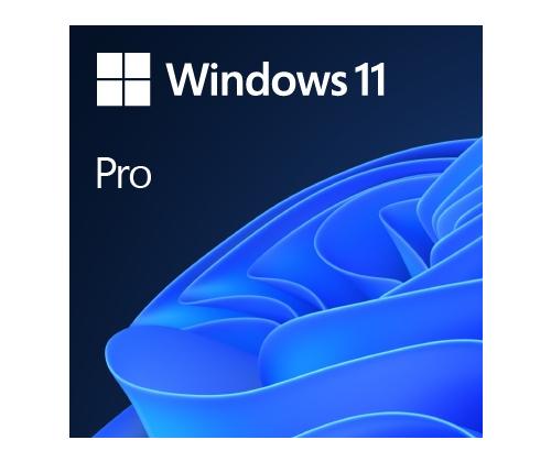 Operatings system Microsoft Windows 11 Pro 64-Bit DVD OEM English International (EN)
