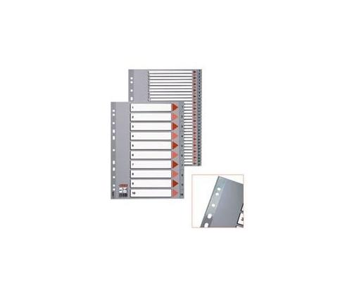 Divider Esselte PP, A4, numbers 1-12, plastic
