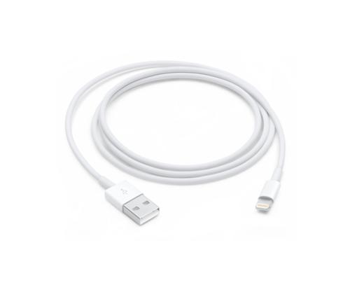Apple Lightning to USB Cable (1m)