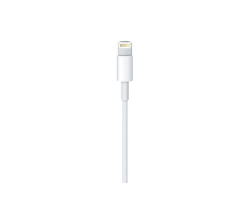 Apple MM0A3ZM/A USB-C - Lightning Cable 1 m, White