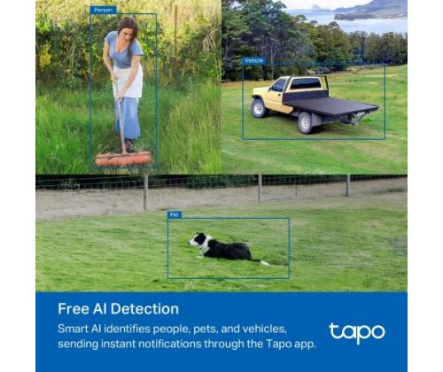 TP-Link TAPO C501GW Outdoor Pan/Tilt 4G LTE Camera