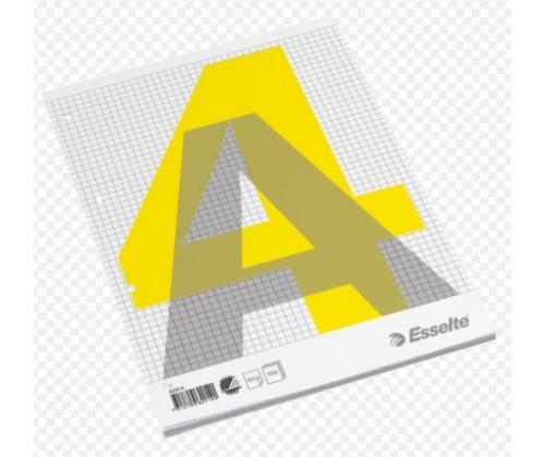 Notebook, removable pages, Esselte, A4/100, Squared  0723-205