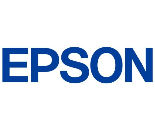 Epson UltraChrome DG2 T55B4 (C13T55B400) 250 ml Ink Cartridge, Yellow
