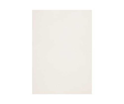 Dekoratiivpaber A4 120g CURIOUS Metallics White (408165) 50 lehte