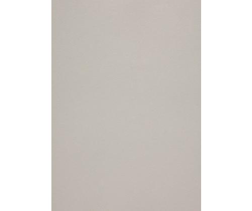 Dekoratiivpaber A4 120g CURIOUS Lustre (408162) 50 lehte